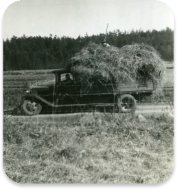 Loading hay